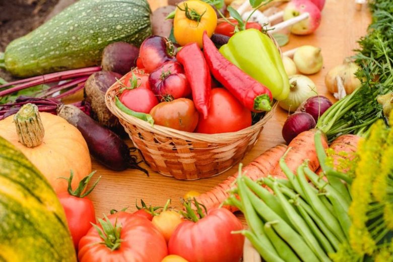 Beans, Black Beans, Bush Beans, Cannellini Beans, Cranberry Beans, French Beans, Green Beans, Kidney Beans, Lima Beans, Navy Beans, Pinto Beans, Pole Beans, Snap Beans, String Beans, Wax Beans