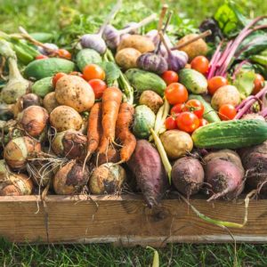 Carrot, Carrots, Companion Plants for Carrots, Companion Planting