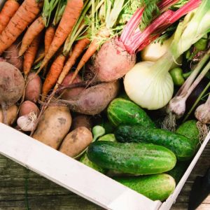 Cucumber,  Cucumbers, Companion Plants for  Cucumbers, Companion Planting