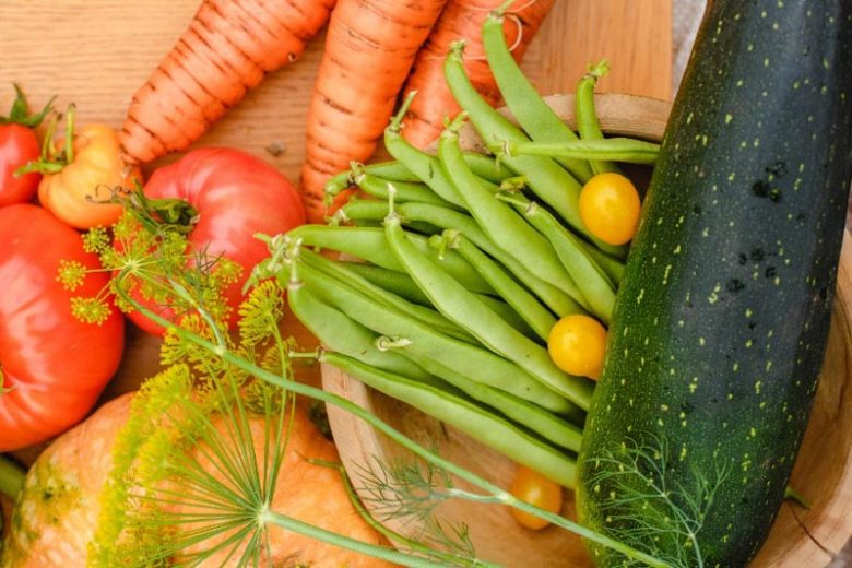 Beans, Black Beans, Bush Beans, Cannellini Beans, Cranberry Beans, French Beans, Green Beans, Kidney Beans, Lima Beans, Navy Beans, Pinto Beans, Pole Beans, Snap Beans, String Beans, Wax Beans