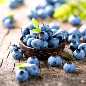 Blueberries, Vaccinium, Vaccinium corymbosum (Highbush Blueberry), Vaccinium angustifolium (Lowbush Blueberry), Vaccinium ashei (Rabbiteye Blueberry), Vaccinium macrocarpon (Cranberry), Blueberries, Northern highbush blueberries, Southern highbush blueberries