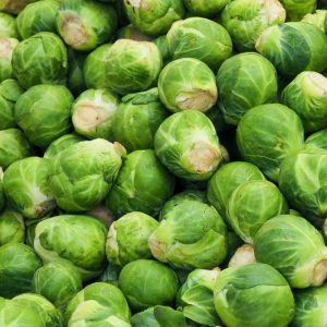Brassica oleracea Gemmifera, Brussels Sprouts,  Brassica oleracea var. gemmifera