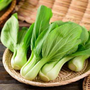 Brassica rapa Chinensis, Chinese Cabbage, Napa Cabbage, Bok Choy, Buk Choy, Celery Mustard, Chinese White Cabbage, Choi Sum, Choy Sum, Pak Choi, Shantung Cabbage, Chinese Mustard, Brassica chinensis, Brassica parachinensis