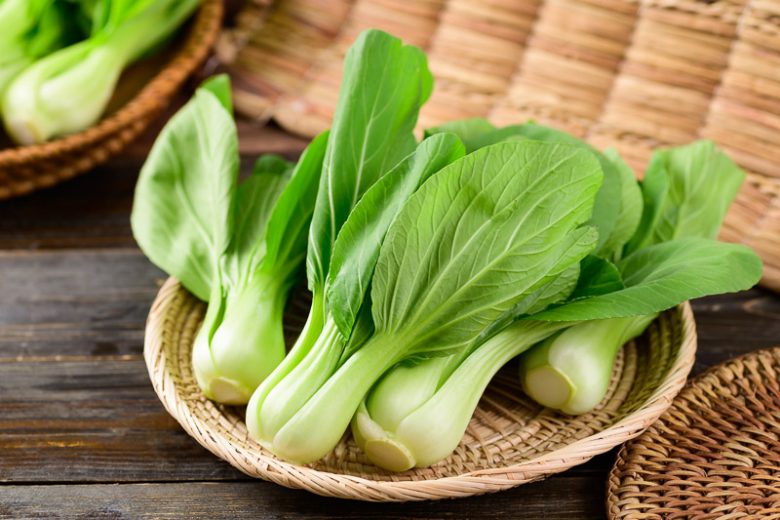 Brassica rapa Chinensis, Chinese Cabbage, Napa Cabbage, Bok Choy, Buk Choy, Celery Mustard, Chinese White Cabbage, Choi Sum, Choy Sum, Pak Choi, Shantung Cabbage, Chinese Mustard, Brassica chinensis, Brassica parachinensis