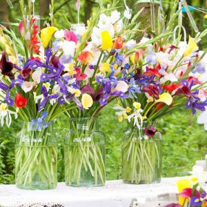 Spring Bulbs, Spring Flowers, Summer Bulbs, Summer Flowers