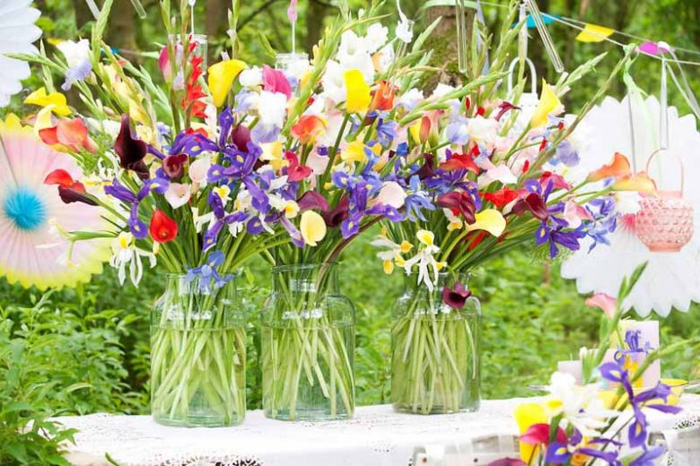 Spring Bulbs, Spring Flowers, Summer Bulbs, Summer Flowers