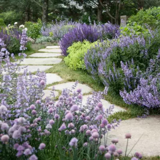 Matthew Cunningham Landscape Design