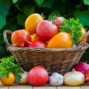 Tomatoes, Tomato, Companion Plant, Companion Planting, Solanum lycopersicum
