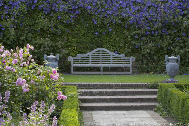 Garden Ideas, Landscaping ideas, Vertical Planting, living wall, garden wall, blue Clematis, clematis Perle d'Azur, Clematis Prince Charles, Garden Bench, Sissinghurst Rose garden, Garden ornamenents