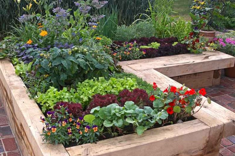 Crop Rotation, Pest Control, Companion Planting