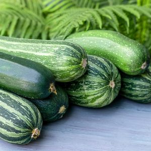 Cucurbita pepo, Zucchini, Courgette, Baby Marrow, Summer Squash