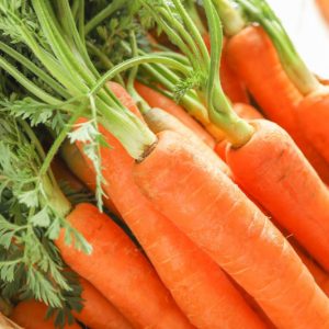 Daucus carota subsp. sativus, Carrot
