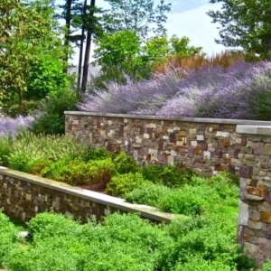 Garden Ideas, Landscaping ideas, Retaining walls, Russian sage, Perovskia Atriplicifolia, Purple plants, Catmint Walker's Low, Nepeta Racemosa Walker's Low, drought tolerant plants, Pennisetum Alopecuroides