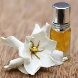 Popular Gardenias, Popular  Gardenia Varieties, Dwarf Gardenias, Hardy Gardenias, Common Gardenia, Cape Jasmine, Cape Jessamine