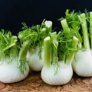 Foeniculum Vulgare, Fennel, Sweet Fennel, Fenkell, Finckle, Finkel, Common Fennel
