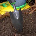 Garden soil, PH, Nutrients, Acidic soil, Akaline SOIL, organic matter,