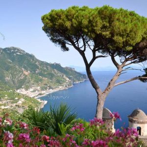 Mediterranean Garden Styles, Mediterranean Plants, Mediterranean Herbs, Mediterranean Garden Plants, Mediterranean Garden Design, Mediterranean Landscaping Ideas