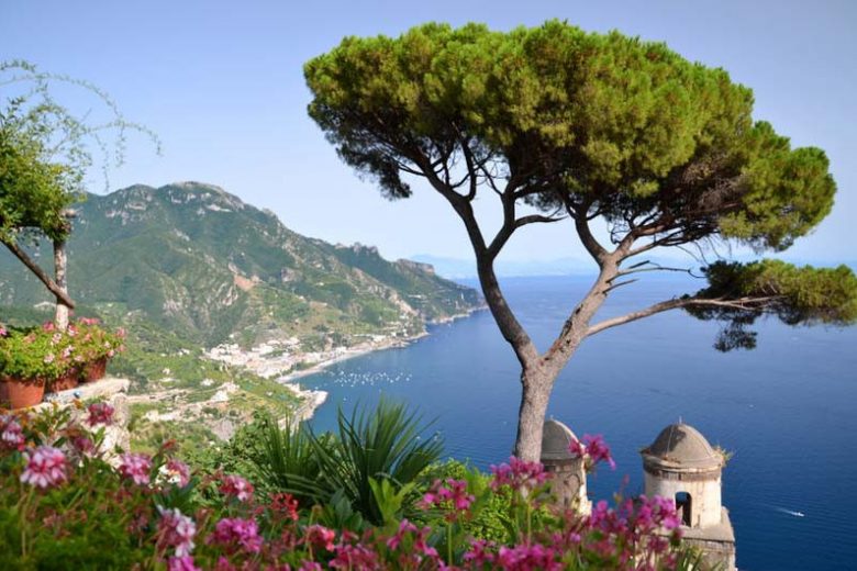 Mediterranean Garden Styles, Mediterranean Plants, Mediterranean Herbs, Mediterranean Garden Plants, Mediterranean Garden Design, Mediterranean Landscaping Ideas
