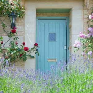 Lavender, Lavender color, English Lavender, Lavender Flower, Spanish Lavender, Lavender bush, French Lavender, Types of Lavender, Lavandula, Lavandula angustifolia, Lavandula stoechas