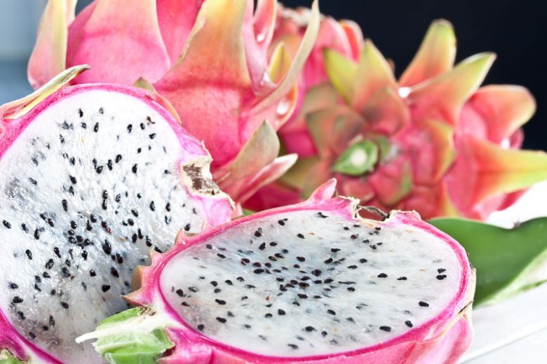 Dragon Fruit, Pitahaya, Pitajaya, Hylocereus undatus, Dragonfruit, Night-Blooming Cereus, Strawberry Pear, Belle of the Night, Conderella Plant, Honolulu Queen, Moonlight Cactus, Queen of the Night,