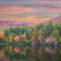 Native Plants, Invasive Plants, Alabama Invasive Plants, Alabama Invasive Shrubs, Alabama Invasive Perennials, Alabama Invasive Trees