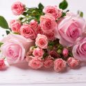June Birth Flower, Birth Flowers, Birth Month Flowers, Birth Flower, Month Birth Flower, May Birth Flower, June Birth Flower, July Birth Flower