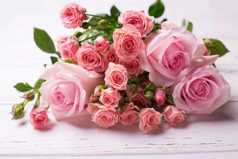 June Birth Flower, Birth Flowers, Birth Month Flowers, Birth Flower, Month Birth Flower, May Birth Flower, June Birth Flower, July Birth Flower