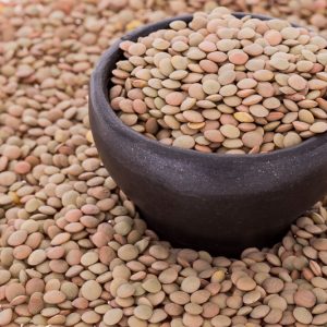 Lentils, Lens esculenta