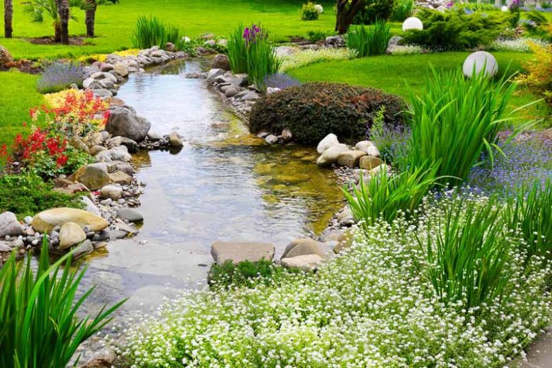 Marginal Pond Plants, Marginal Aquatic Plants, Emergent Plants, Acorus, Sweet Flag, Water Arum, Marsh Marigold, Canna, Carex, Colocasia, Crinum, Cyperus, Papyrus, Hibiscus