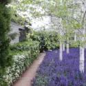 Arthur Lathouris Garden Designer