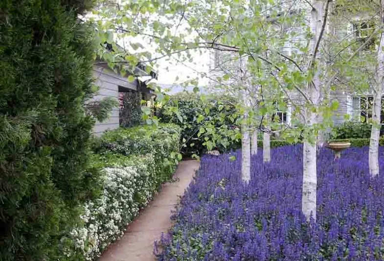 Arthur Lathouris Garden Designer