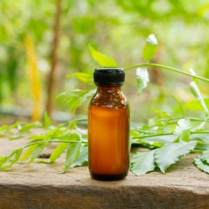 Neem Oil, Neem,  Organic Insecticide,  aphids, leafminers, mealybugs, thrips, whiteflies, Colorado potato beetles, corn earworms, cucumber beetles, flea beetles, Mexican bean beetles, weevils, codling moths, Japanese beetles