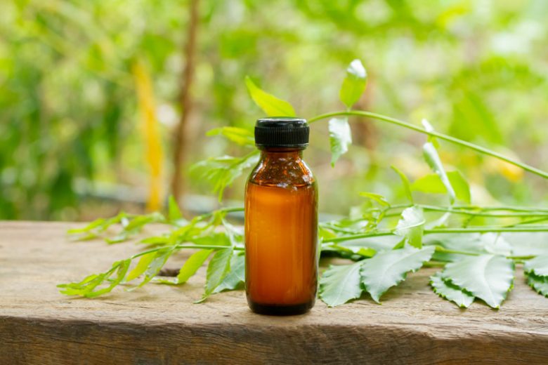 Neem Oil, Neem,  Organic Insecticide,  aphids, leafminers, mealybugs, thrips, whiteflies, Colorado potato beetles, corn earworms, cucumber beetles, flea beetles, Mexican bean beetles, weevils, codling moths, Japanese beetles