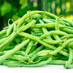 Phaseolus vulgaris, Beans, Green Beans, French Beans, Bush Beans, Pole Beans, Wax Beans, String Beans, Snap Beans