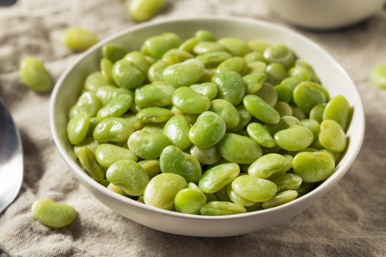 Phaseolus lunatus, Lima Beans,  Butter Beans, Sieva Beans, Double Beans, Madagascar Beans, Wax Beans