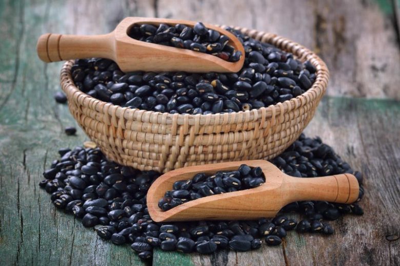 Black Beans, Turtle Beans, Caviar Criolla, Frijoles Negros, Phaseolus vulgaris