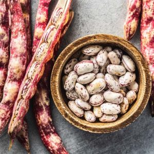 Cranberry Bean, Borlotti Bean, Roman Bean, Romano Bean, Saluggia Bean, Gadhra Bean, Rosecoco Bean, Phaseolus vulgaris Cranberry Group