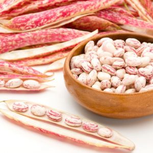 Pinto Beans, Pinto Beans, Frijoles Pintos, Painted Bean, Mottled Beans, Poroto Frutilla, Strawberry Bean, Carioca Bean, Phaseolus vulgaris Pinto Group