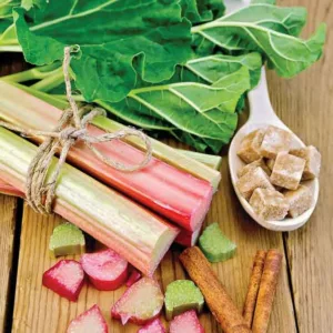 Rheum x hybridum 'Victoria', Rhubarb 'Victoria', Garden Rhubarb, Edible Rhubard, Pie Rhubarb