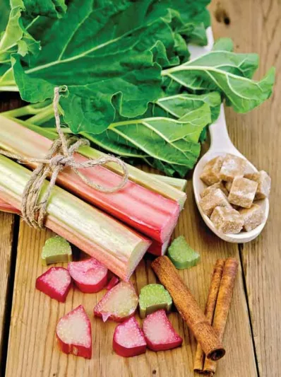 Rheum x hybridum 'Victoria', Rhubarb 'Victoria', Garden Rhubarb, Edible Rhubard, Pie Rhubarb