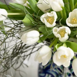 Tulipa  Inzell,Tulip 'Inzell', Triumph Tulip 'Inzell', Triumph Tulips, Spring Bulbs, Spring Flowers, Tulipe  Inzell, White Tulips, Tulipes Triomphe, Mid spring tulips