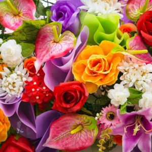 Types of flowers, Flower Types,  Flower Names, Pictures of Flowers, Pretty Flowers, Beautiful Flowers, Different Types of Flowers