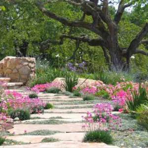 Suzman Design Associates