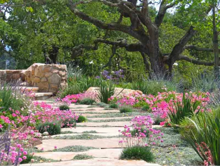 Suzman Design Associates