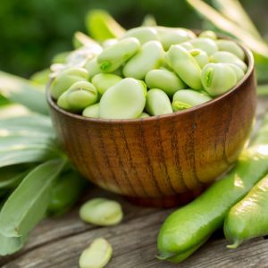 Vicia faba, Broad Bean, Fava Bean, Faba Bean, Horse Bean,  Bell Bean, English Bean, Field Bean, Pidgeon Bean, Tick Bean, Windsor Bean.