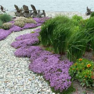 Lankford Associates Landscape Architects
