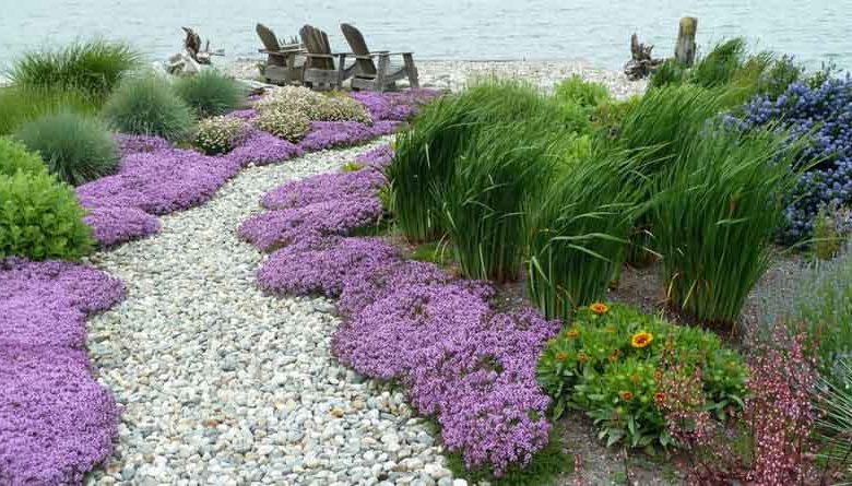 Lankford Associates Landscape Architects