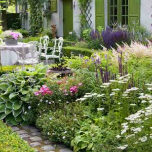 Garden Ideas, Border ideas, Perennial Planting, Perennial combination, Summer Borders, Salvia Caradonna, Astilbe Detuschland, Geranium Rozanne, Geranium Sanguineum, Hosta crispula