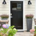 Planting Hydrangea, When to Plant Hydrangea, Hydrangea, Hydrangeas, Hydrangea Flowers