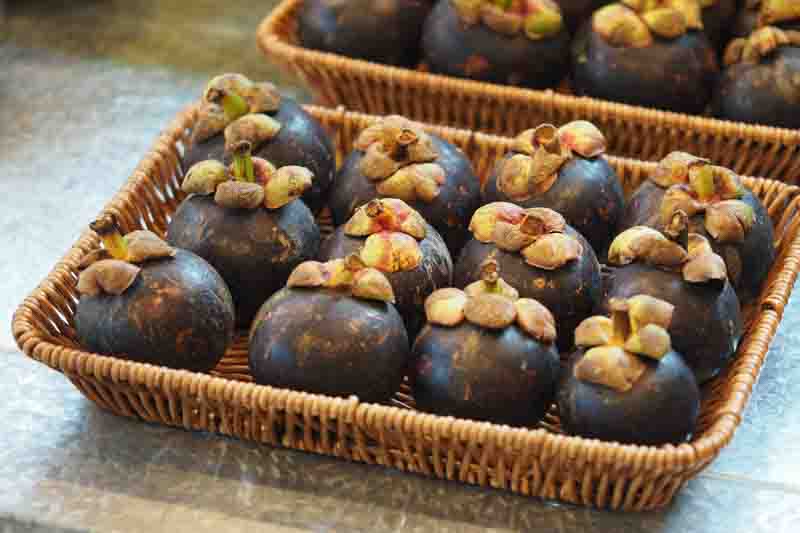 Mangosteen, Purple mangosteen, Queen of fruits, Manggis, Mangostán, Mangostán morado, Garcinia mangostana